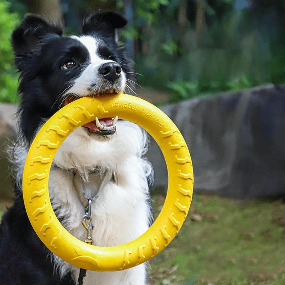 Indestructible Dog Chew Toy - ของเล่นแหวนสำหรับสุนัข ทนทาน ไม่แตกหัก สำหรับเคี้ยว ลอยน้ำได้ อุปกรณ์ฝึกสุนัข
