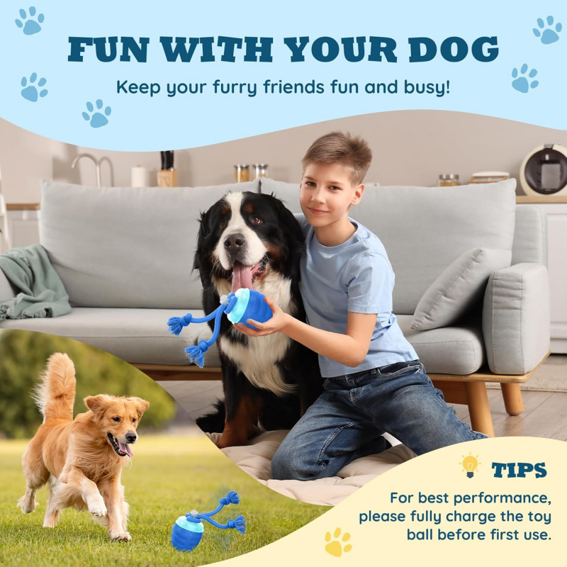 ของเล่นสุนัขแบบเคลื่อนที่อัตโน - Automatic Moving Dog Ball บทวิจารณ์และราคา