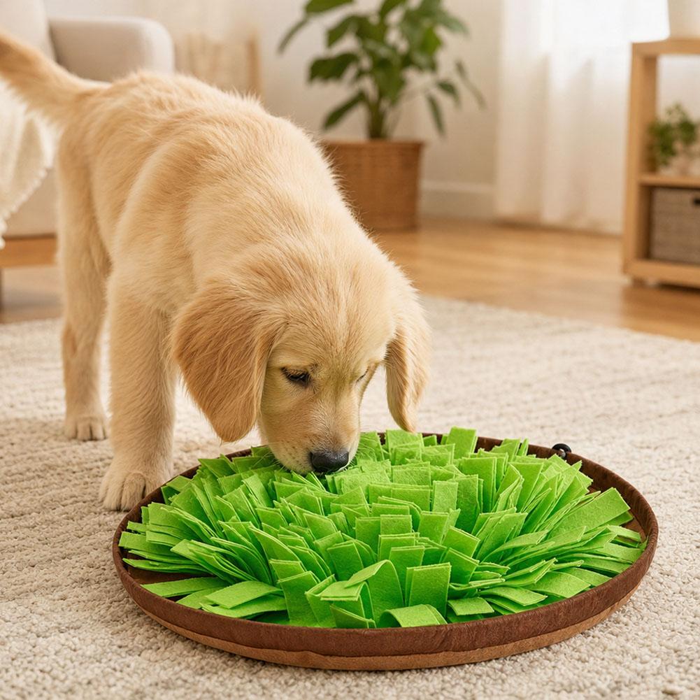 แผ่นฝึกดมกลิ่นสำหรับสุนัข ของเ - Interactive Squeaky Plush Dog Toy บทวิจารณ์และราคา