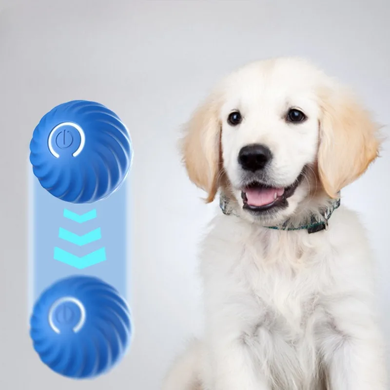 ลูกบอลของเล่นสัตว์เลี้ยง SS ลู - Automatic Moving Dog Ball บทวิจารณ์และราคา