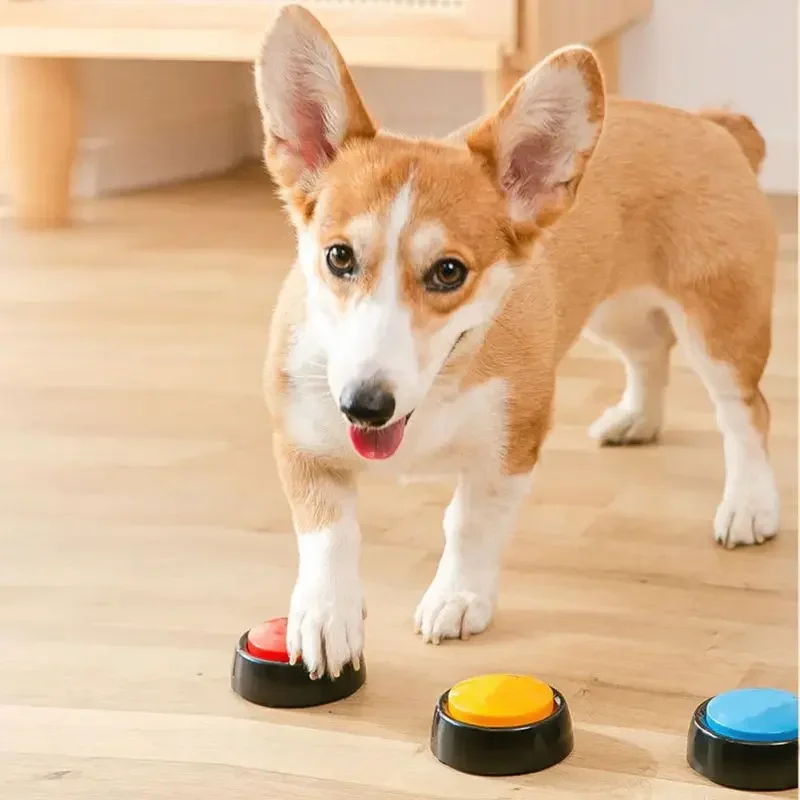 สัตว์เลี้ยงเสียงกล่องบันทึกพูด - Interactive Squeaky Plush Dog Toy บทวิจารณ์และราคา