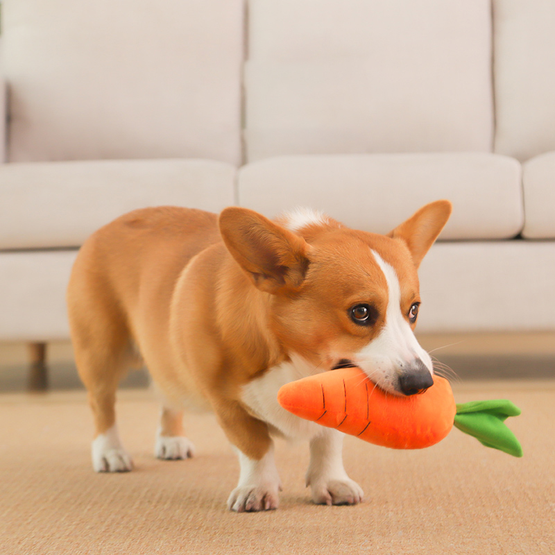 HOOPET สุนัขของเล่นสัตว์เลี้ยง - Indestructible Dog Chew Toy บทวิจารณ์และราคา