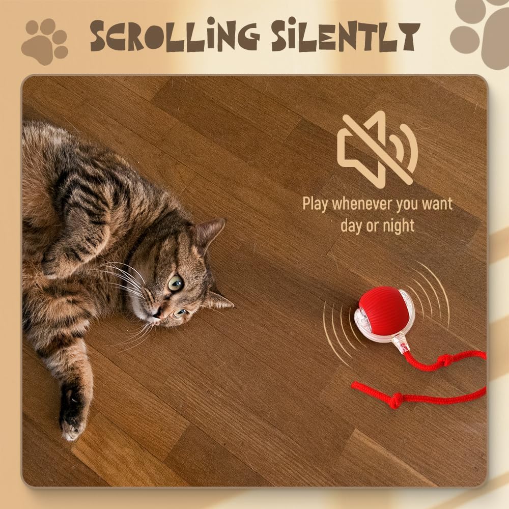 ลูกบอลสัตว์เลี้ยงแบบกลิ้งได้ ป - Automatic Moving Dog Ball บทวิจารณ์และราคา