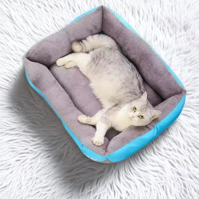 เบาะนอนนุ่มสบายสำหรับแมวและสุน - Interactive Squeaky Plush Dog Toy บทวิจารณ์และราคา