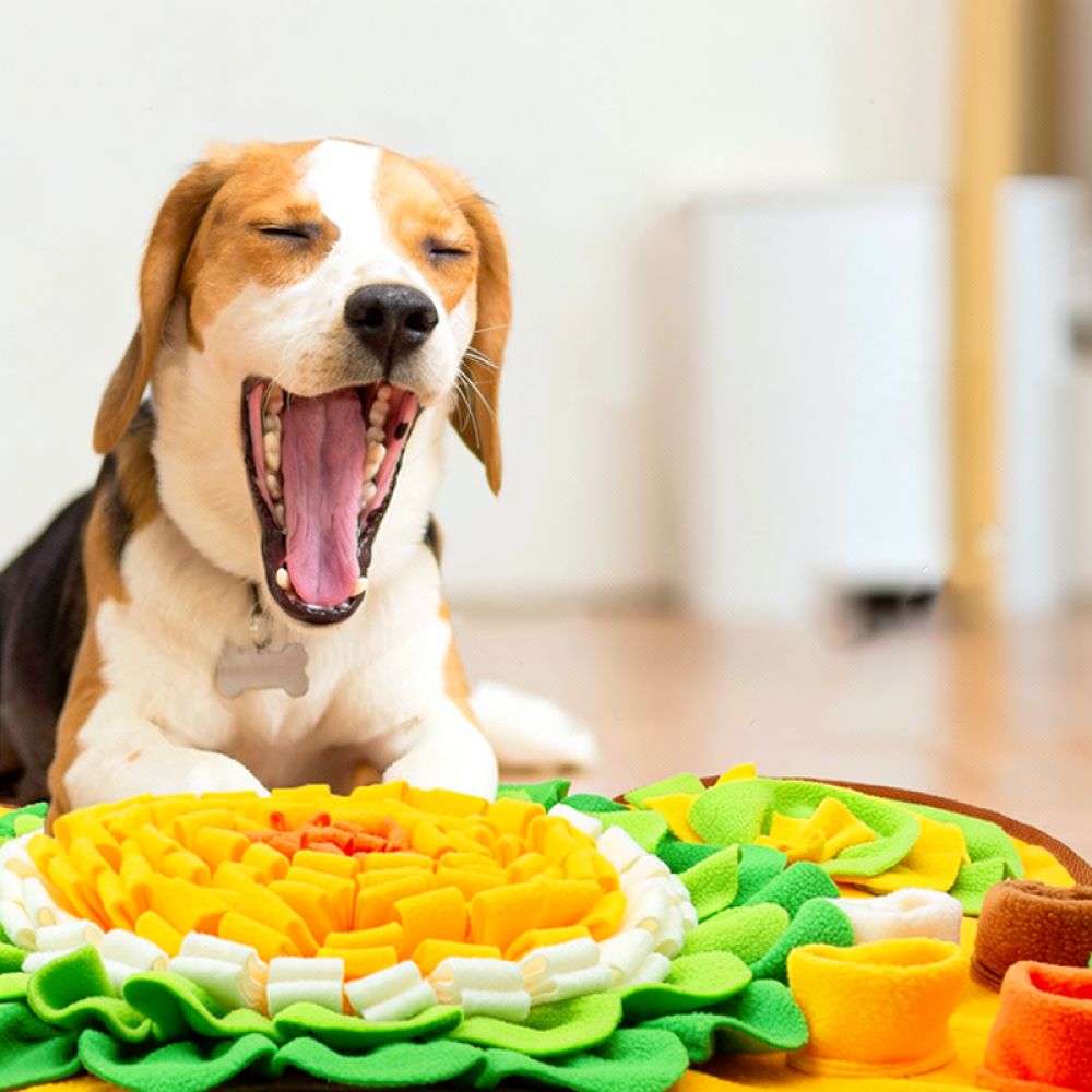แผ่นดมกลิ่นสำหรับสุนัข ลายกระด - Dog Puzzle Feeder Toy บทวิจารณ์และราคา
